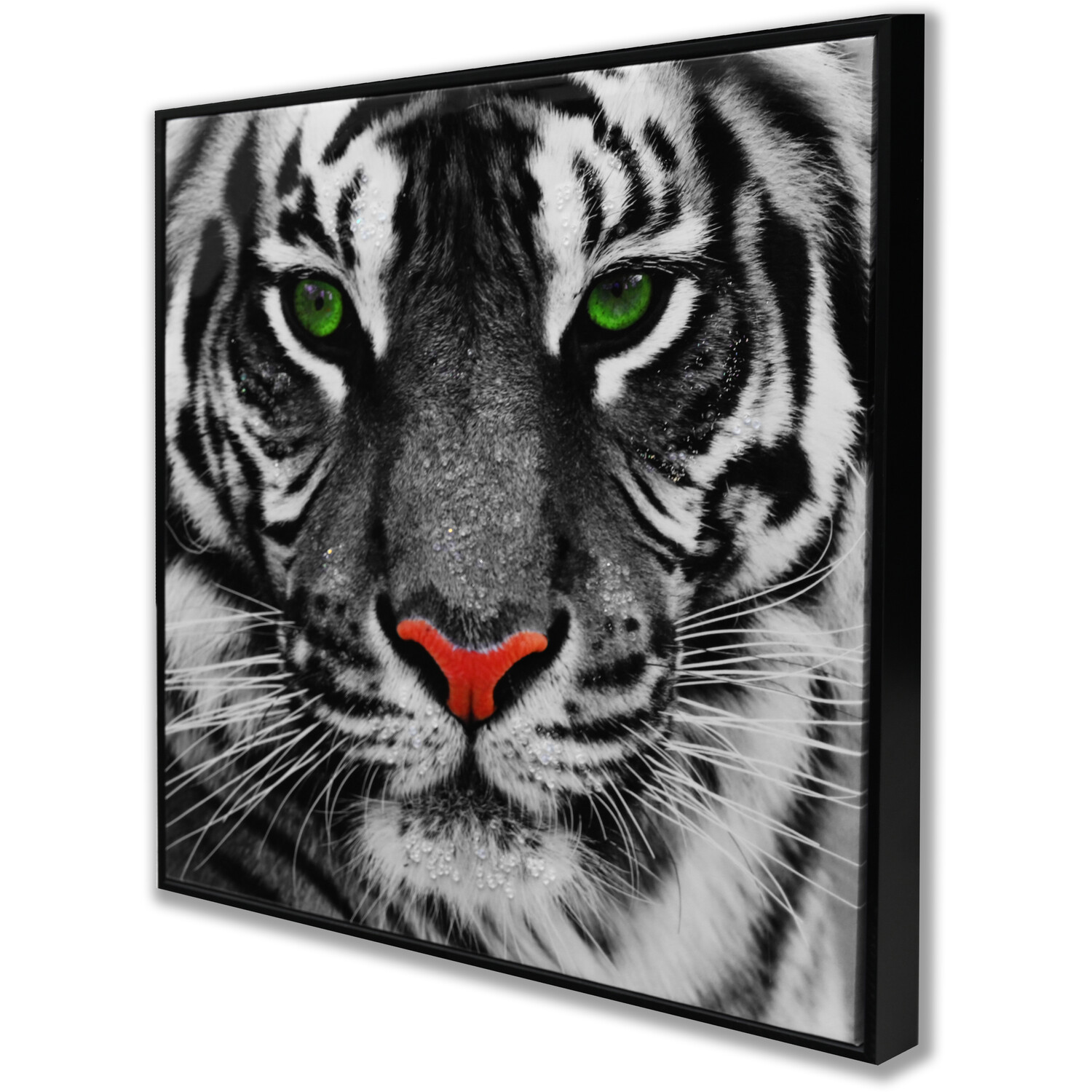 Striking Tiger Adorned Framed Print - Black Image 2