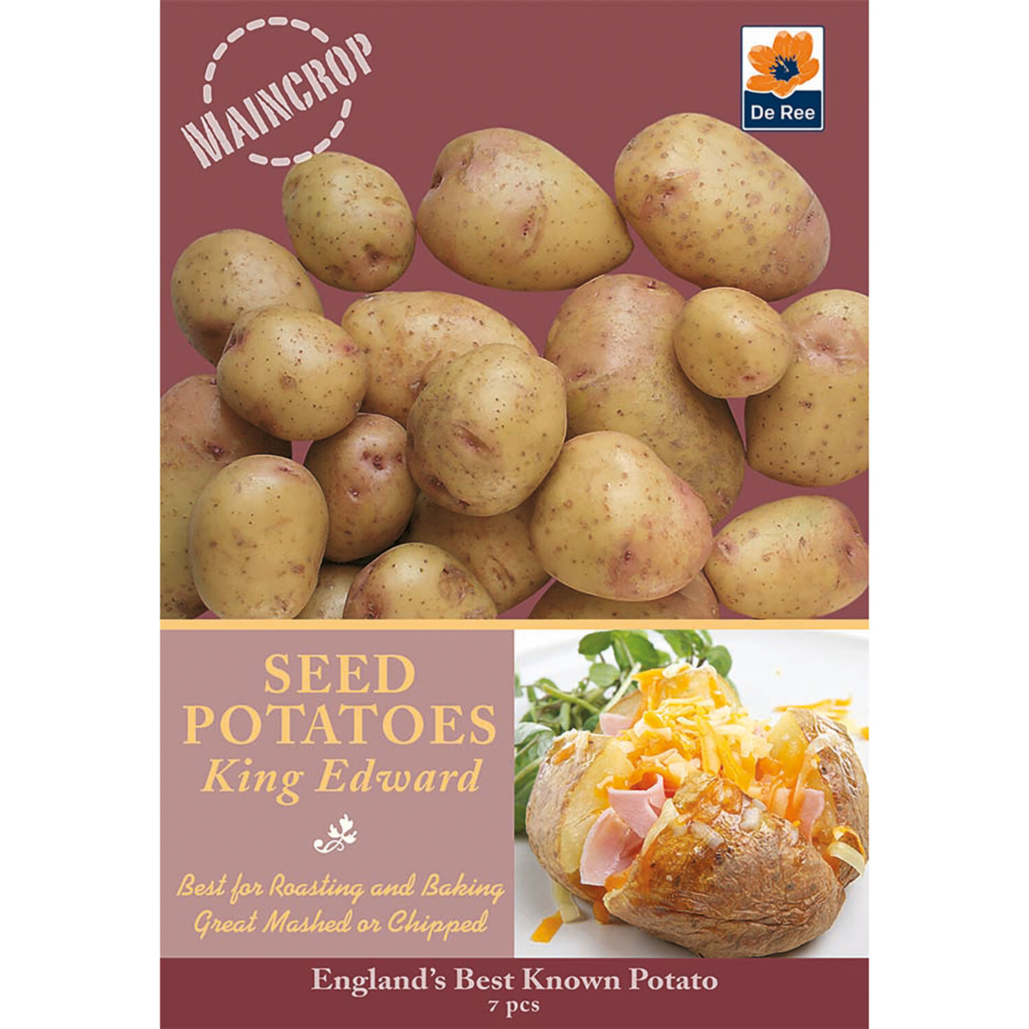 Onion and Vegetable Bulbs Image 9