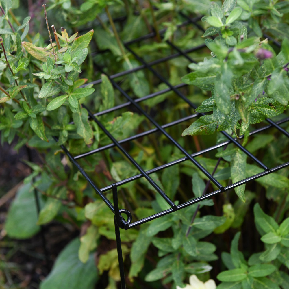 Garden Gear Grow Through Rectangle Grid Support 40 x 30cm Image 3