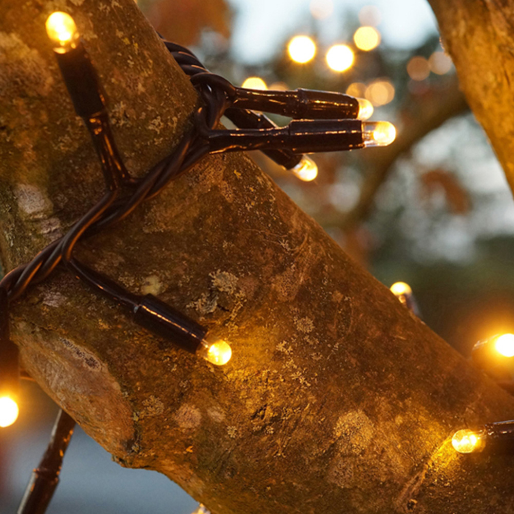 Eagle Connect 250 Gold LED Cluster Light 5m Image 3