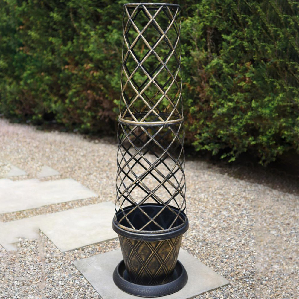 Thompson and Morgan Jasmine Nudiflorum Tower Plant Pot 9cm 2 Pack Image 2