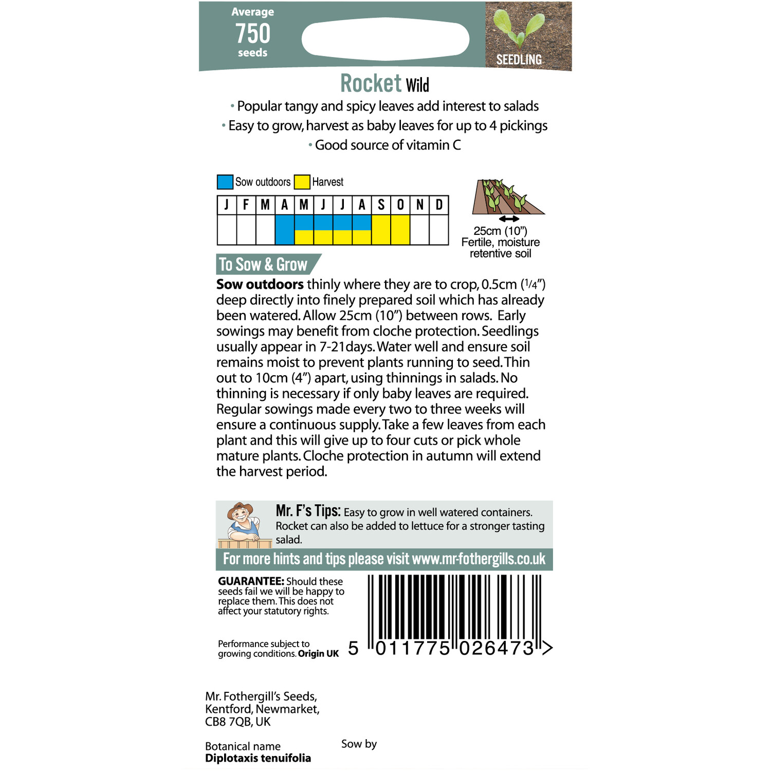 Wild Rocket Seeds Image 2