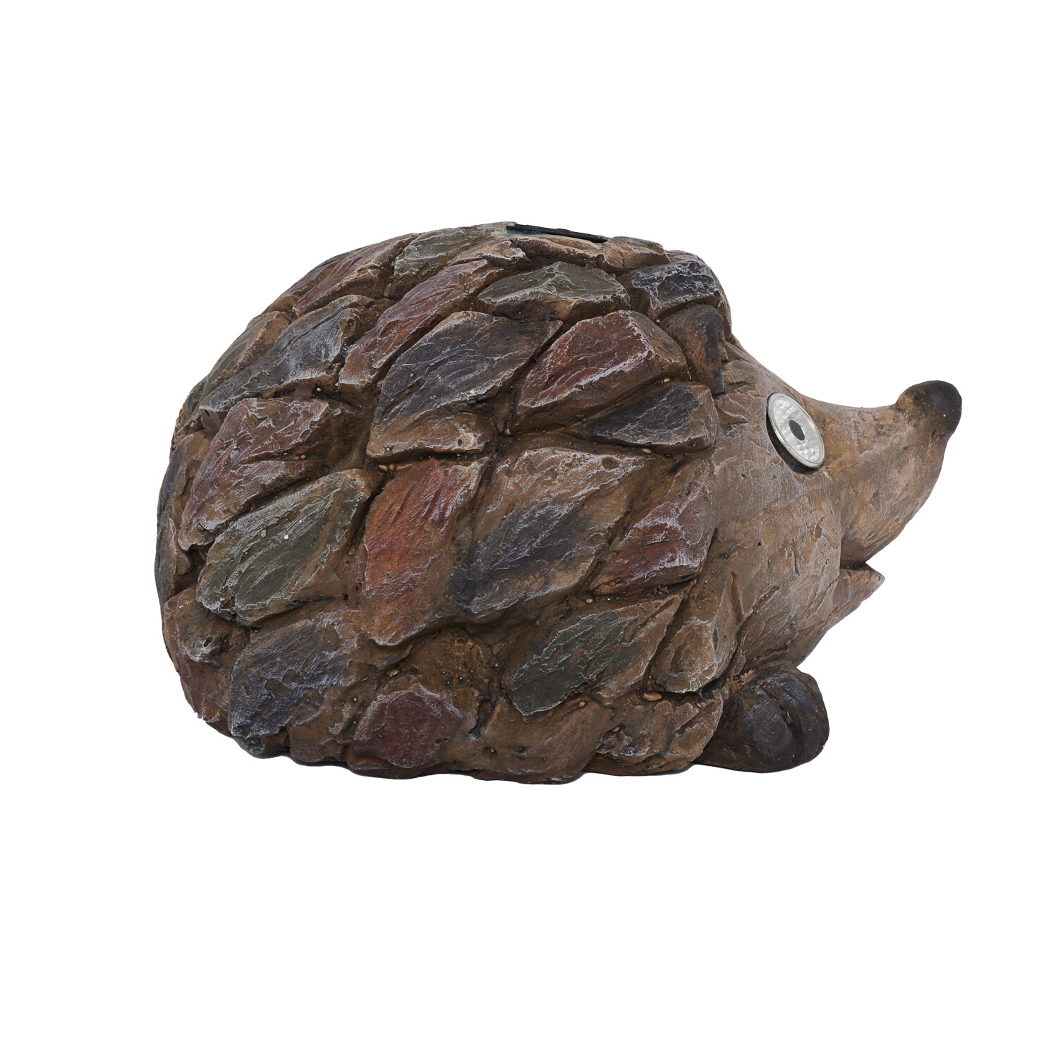 Harry the Solar Hedgehog Image 3