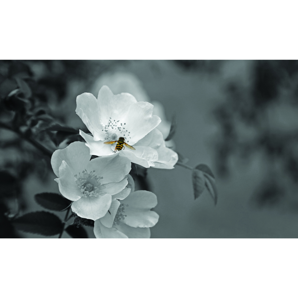 Mirrorstone Nexus Pollination Image Wi-Fi Infrared Heating Panel 580W 595 x 995mm Image 4