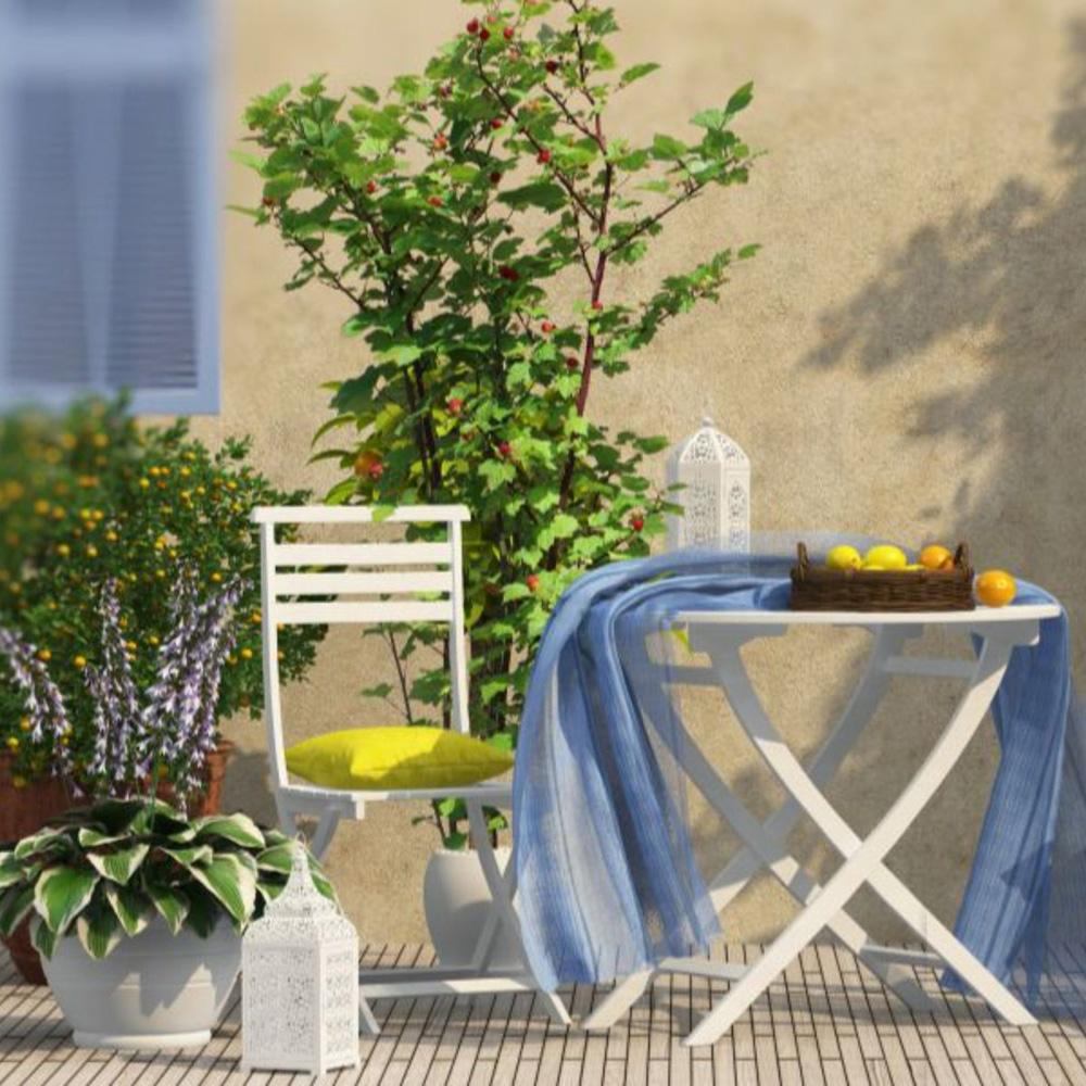 Thompson & Morgan Rubus Raspberry Tree Hararasp Standard Potted Plant Image 2