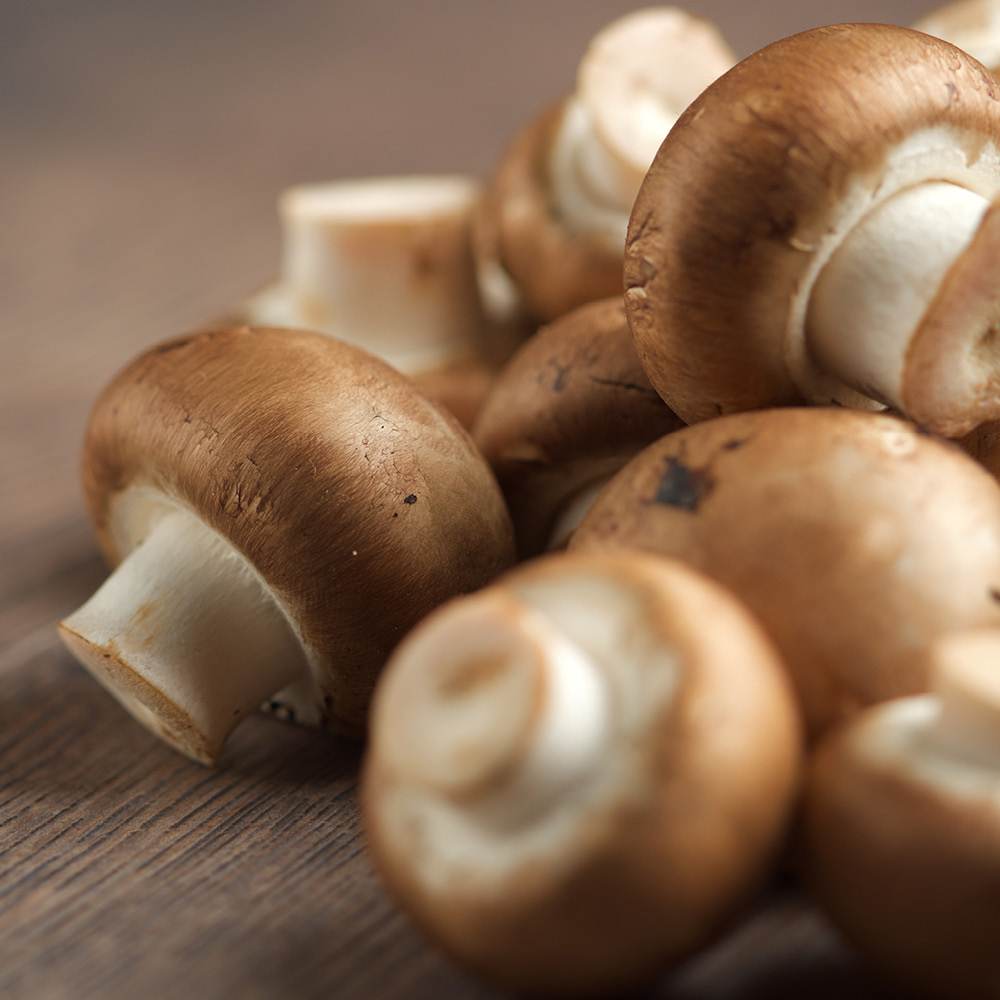 YouGarden Brown Mushroom Grow Kit 3L Image 2