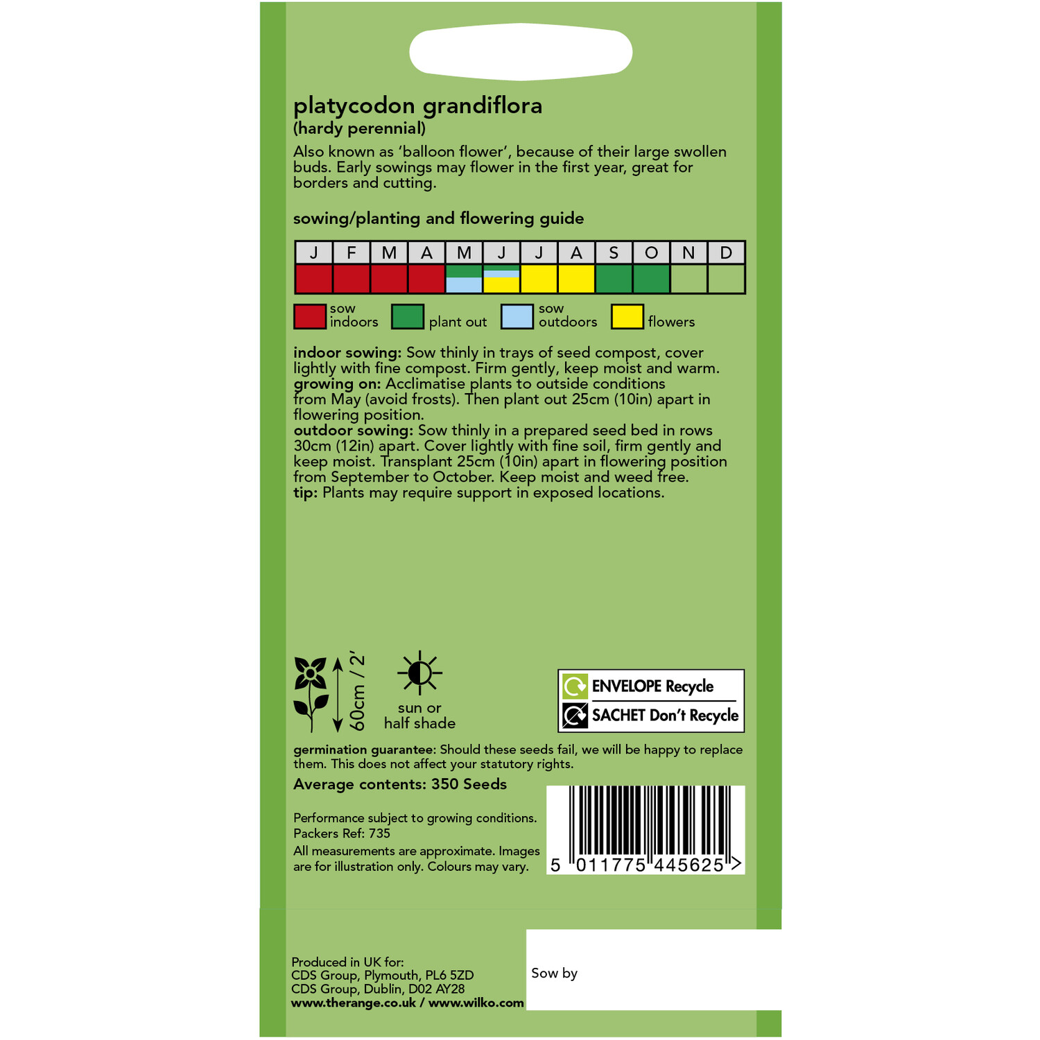 Platycodon Grandiflora Seeds Purple Image 2