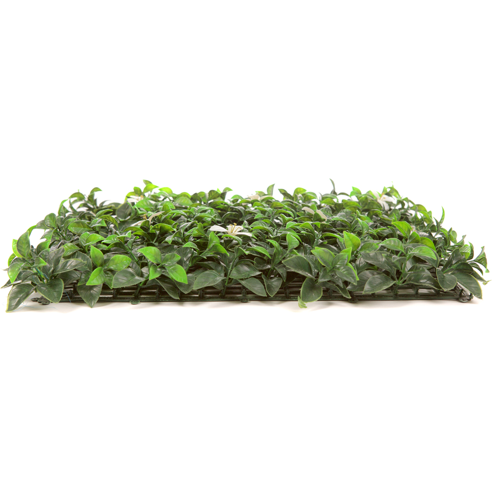 Pack of 12 50cm White Laurel Hedging Mat Image 3
