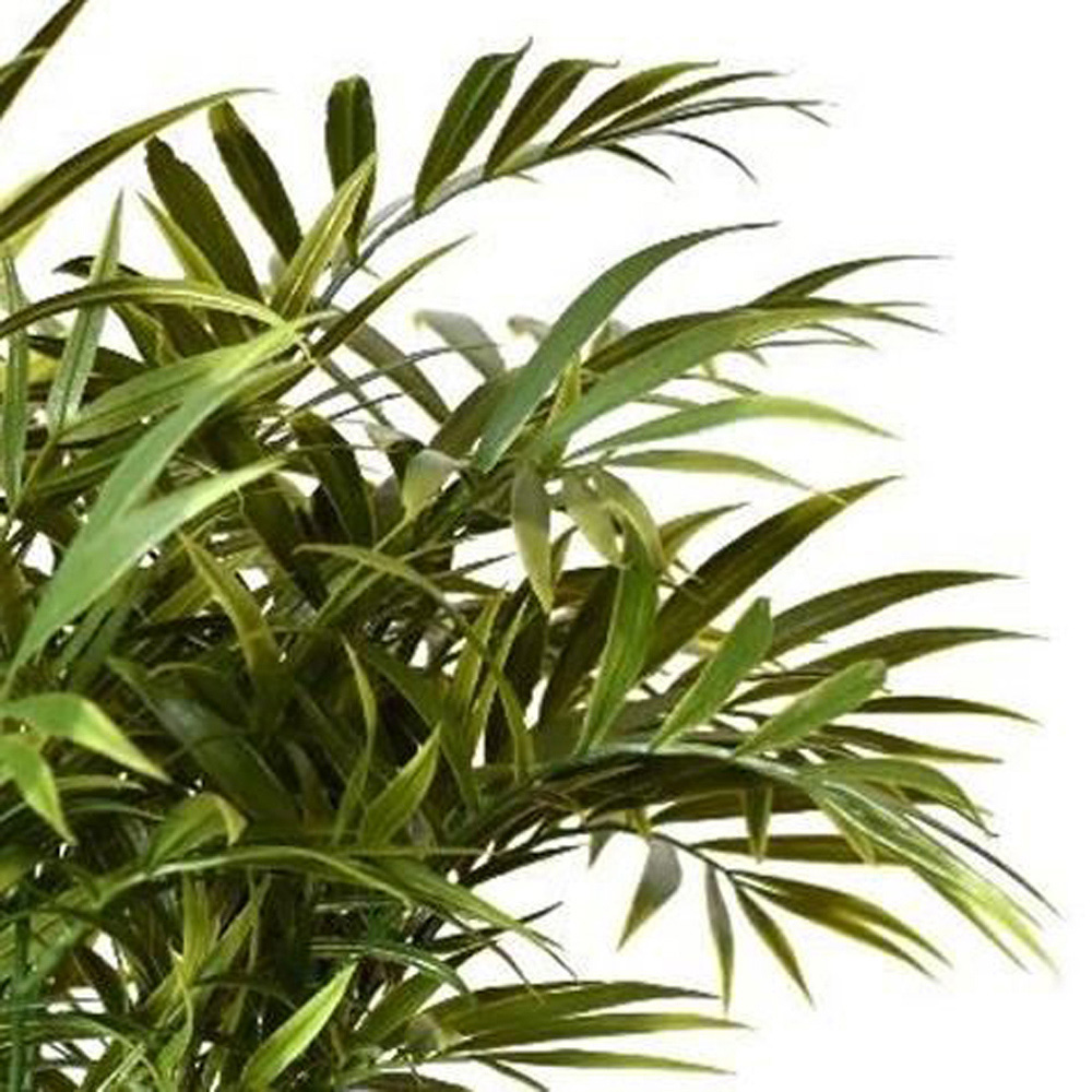 Leaf Green Palm Tree Fire Retardant Artificial Plant Stem 40cm 6 Pack Image 3