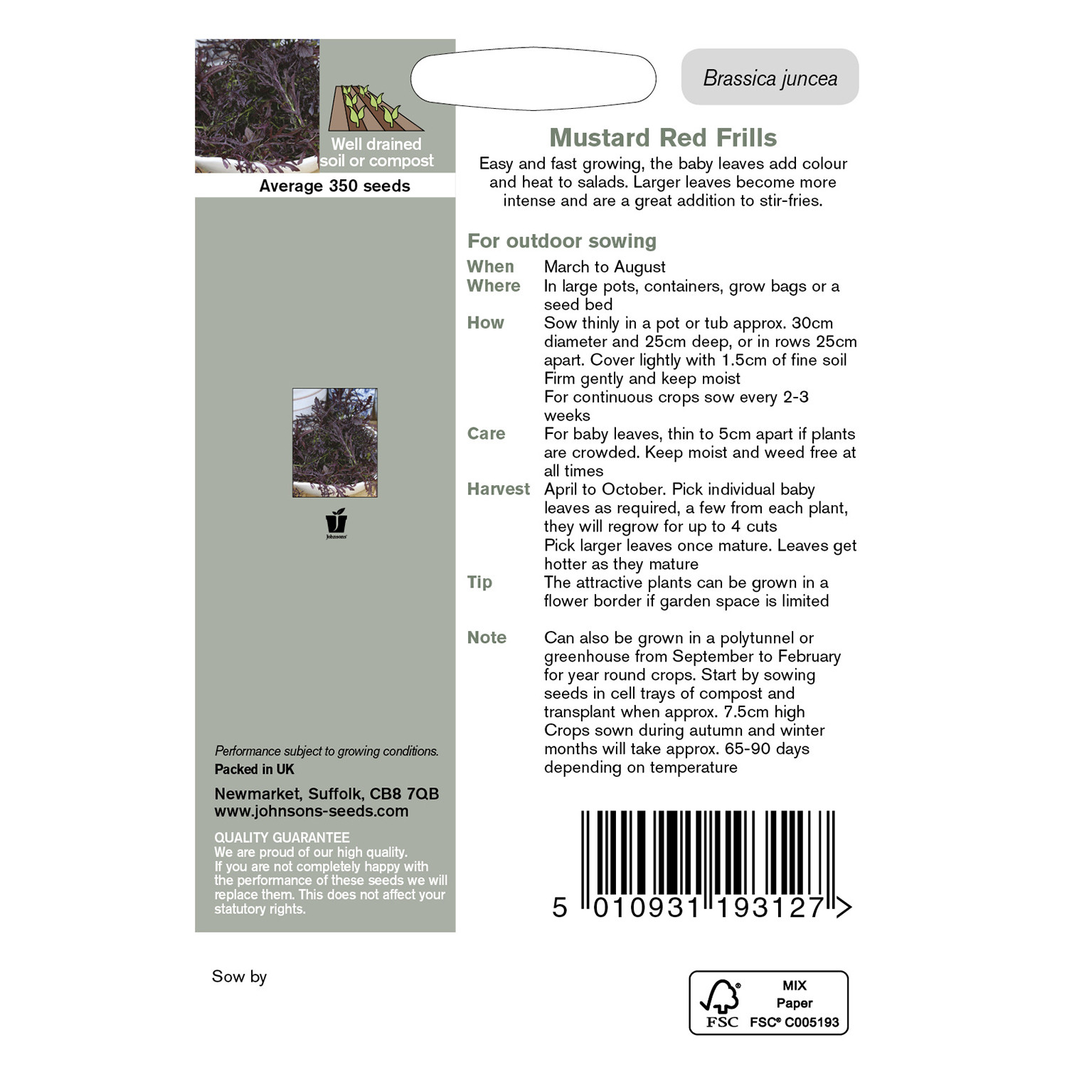 Johnsons Red Frills Mustard Herb Seeds Image 3