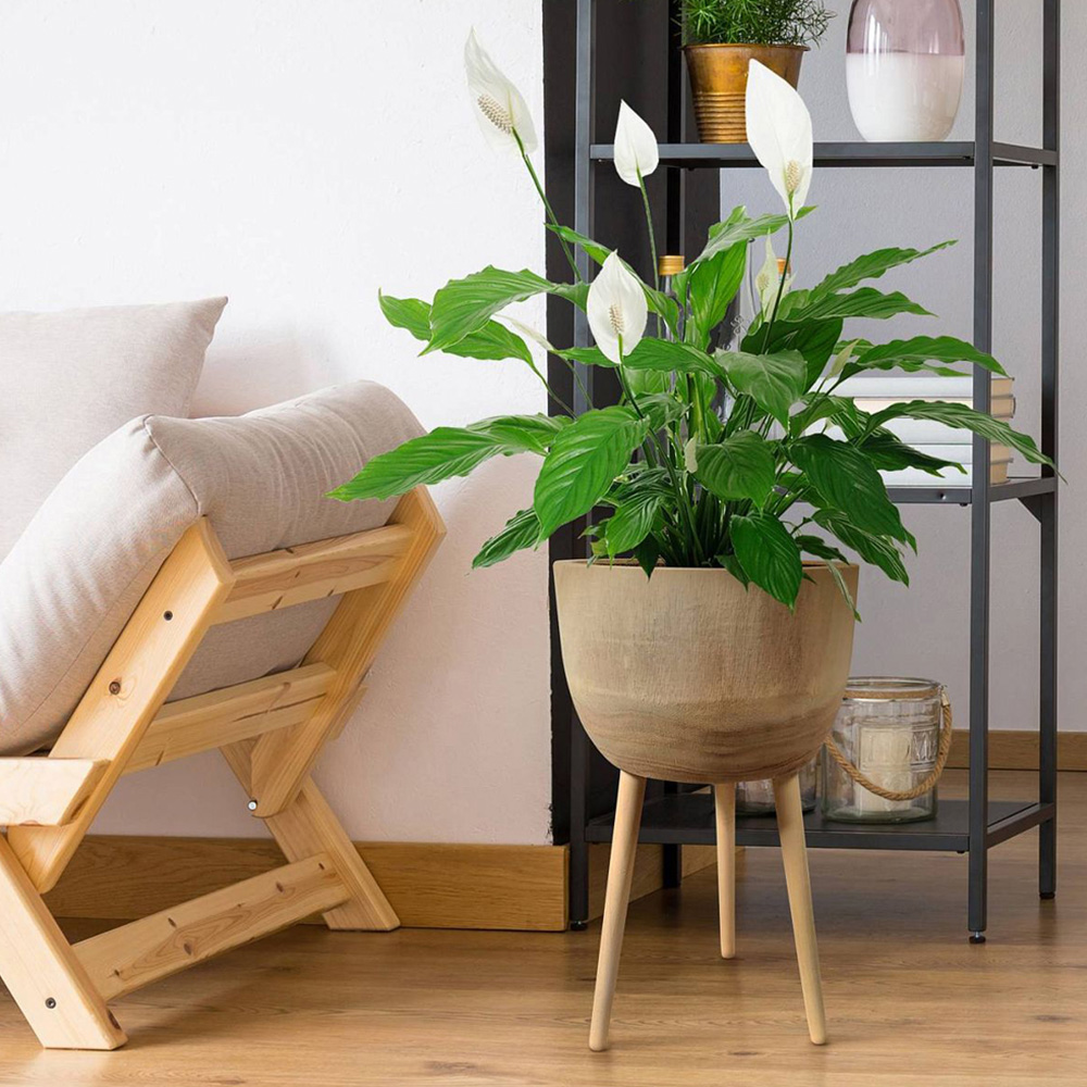 Lechuza Hortico Gaia Brown Wooden Planter with Legs H55cm Image 5