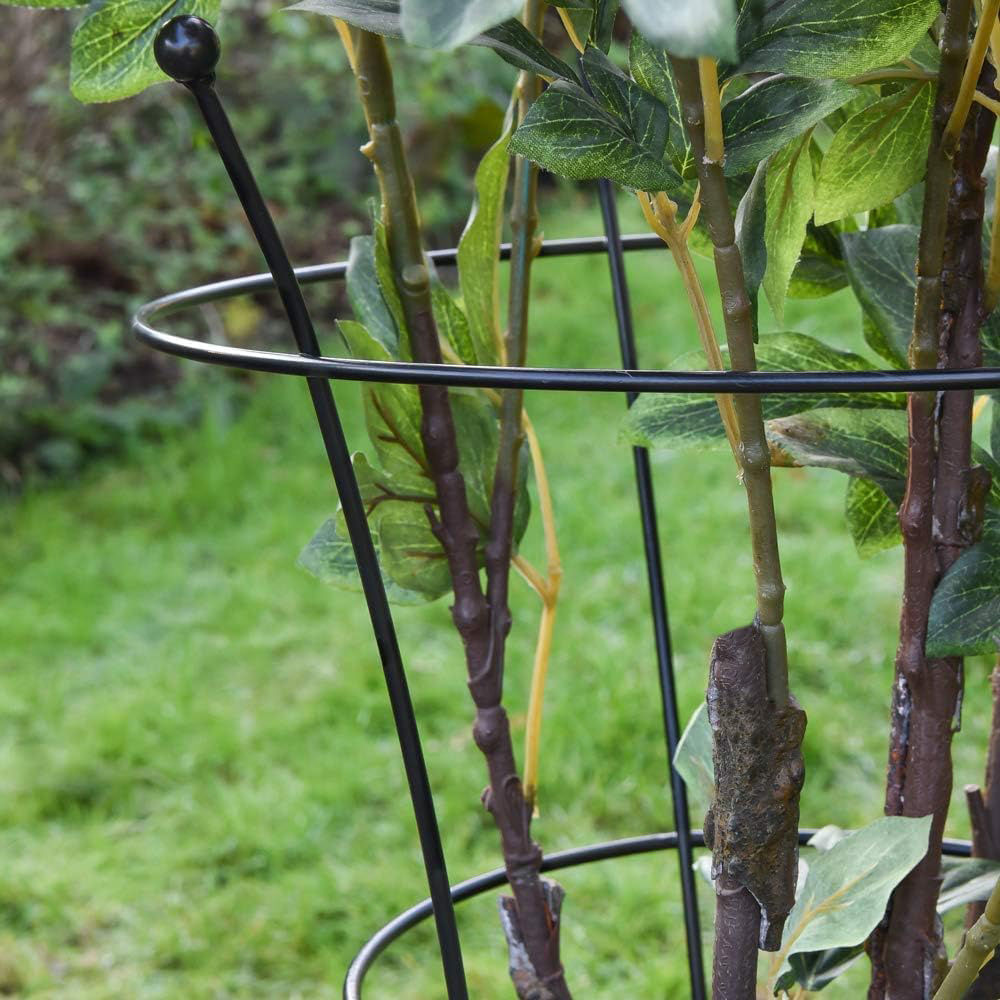 Garden Gear Medium Pre-Rust Corten Peony Plant Frame Image 3