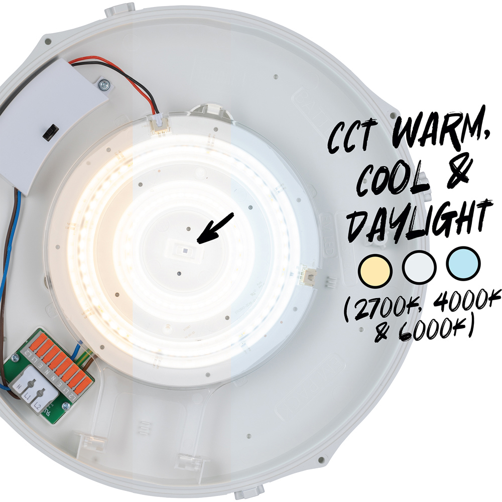 TCP Emergency Bulkhead Wall and Ceiling Light Image 6
