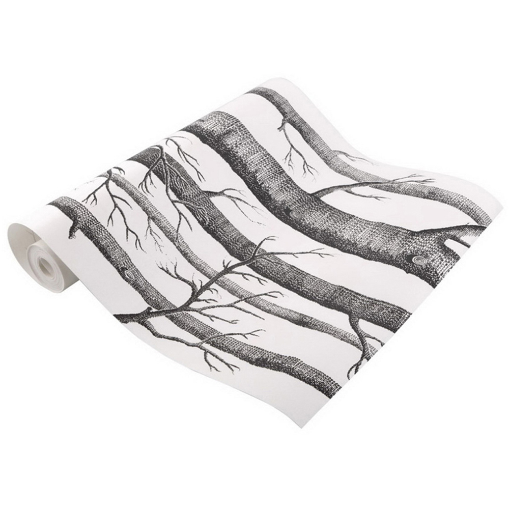 Living and Home Birch Tree Wallpaper Image 2