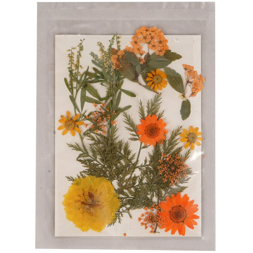 The Fall Collection Autumn Dried Flowers - Orange Image 2