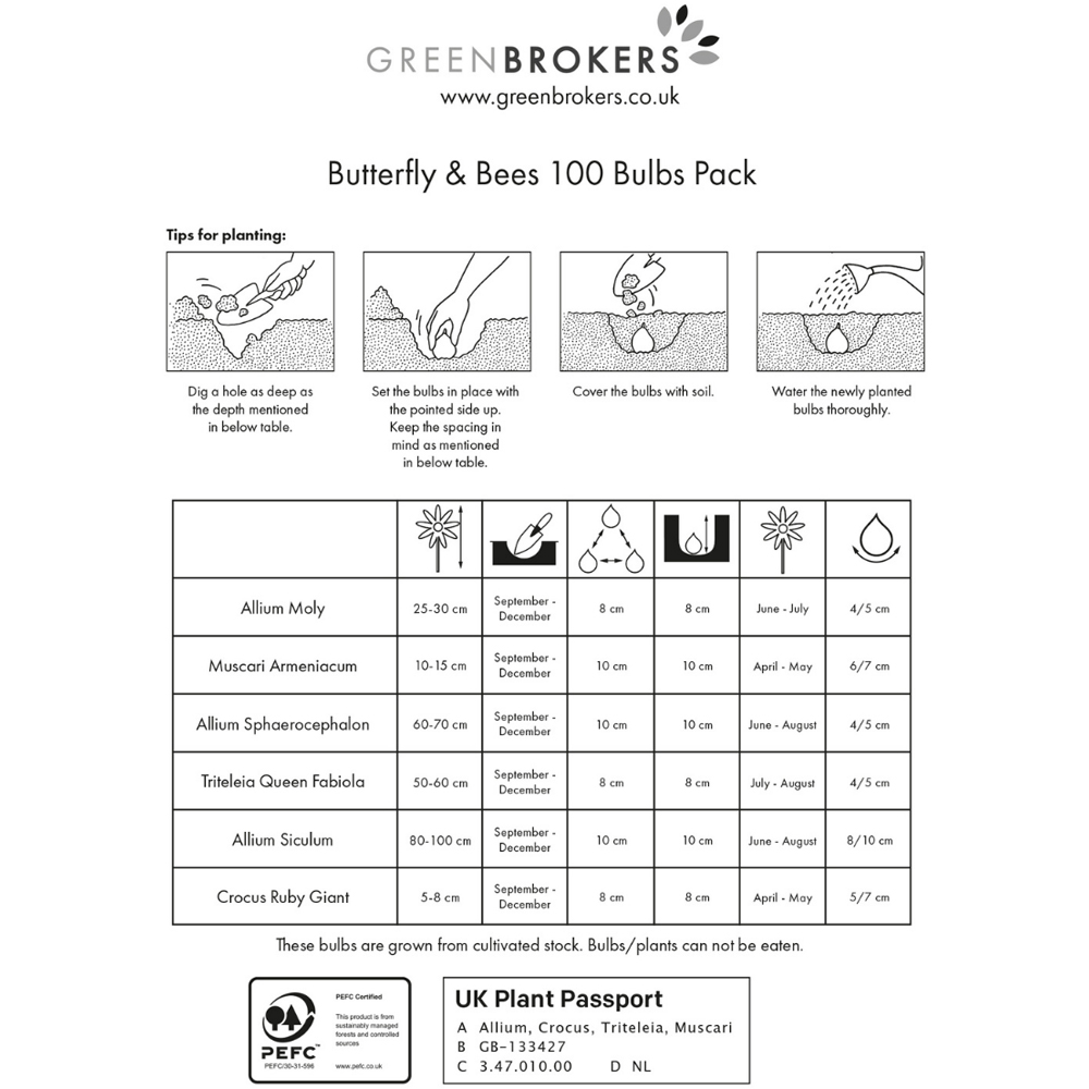 GreenBrokers Dutch Butterfly and Bee Mixed Collection Planting Spring Bulb 100 Pack Image 3