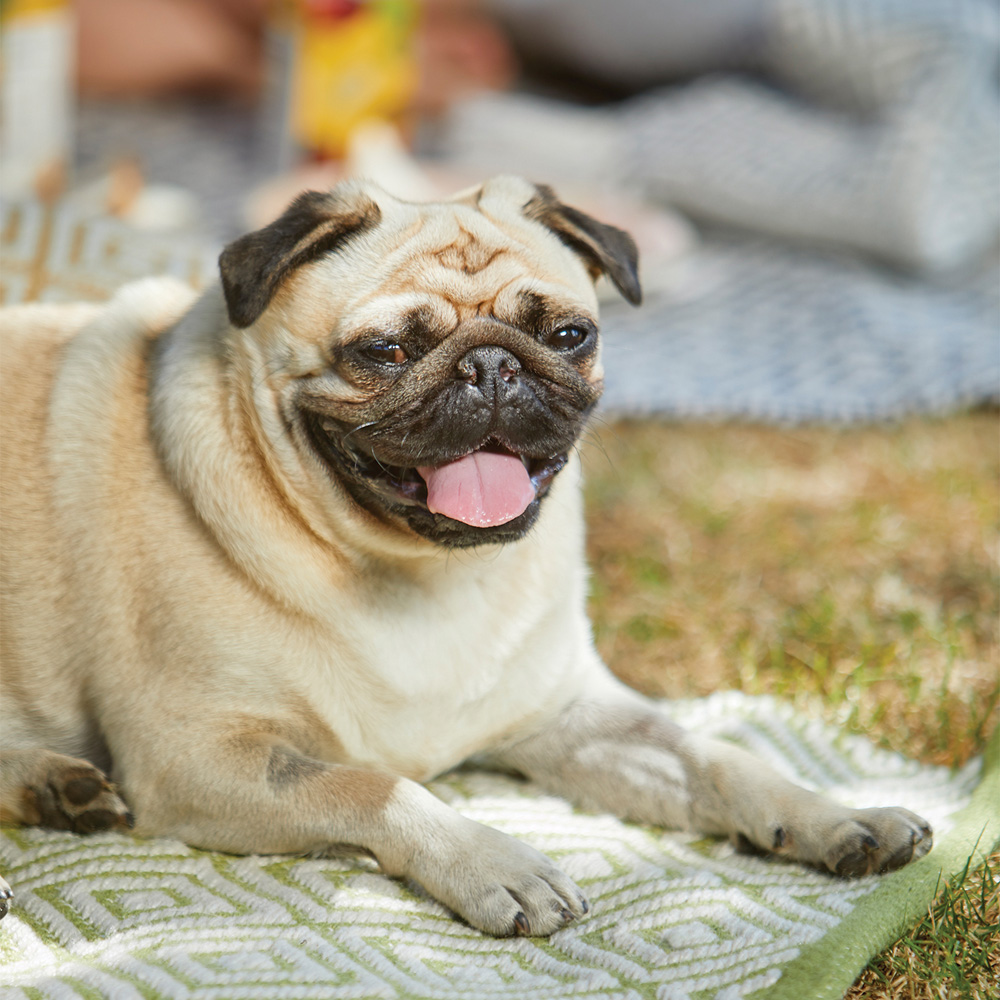 Hug Rug Green Woven Diamond Rug 160 x 230cm Image 2