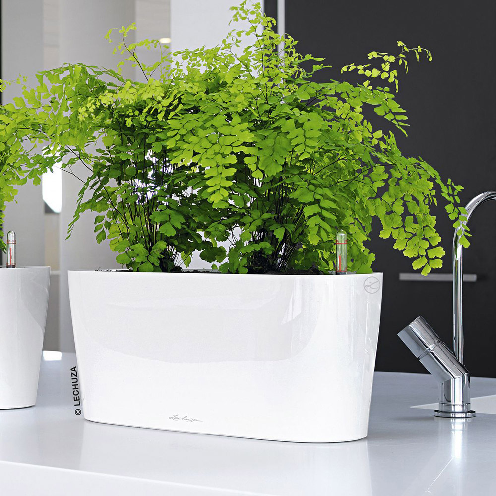 Lechuza Delta White Polyresin Self Watering Planter 40cm 2 Pack Image 2