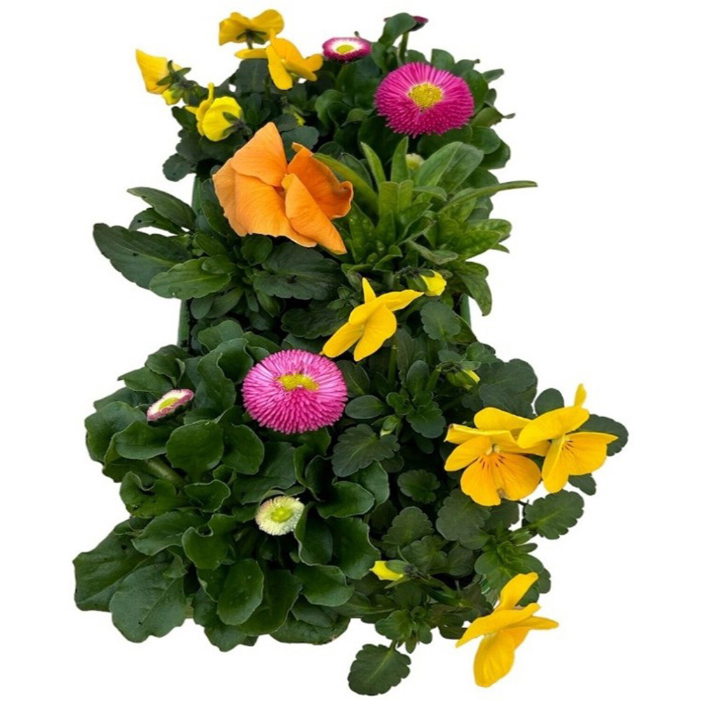 Large Mixed Flower Kit Image 4