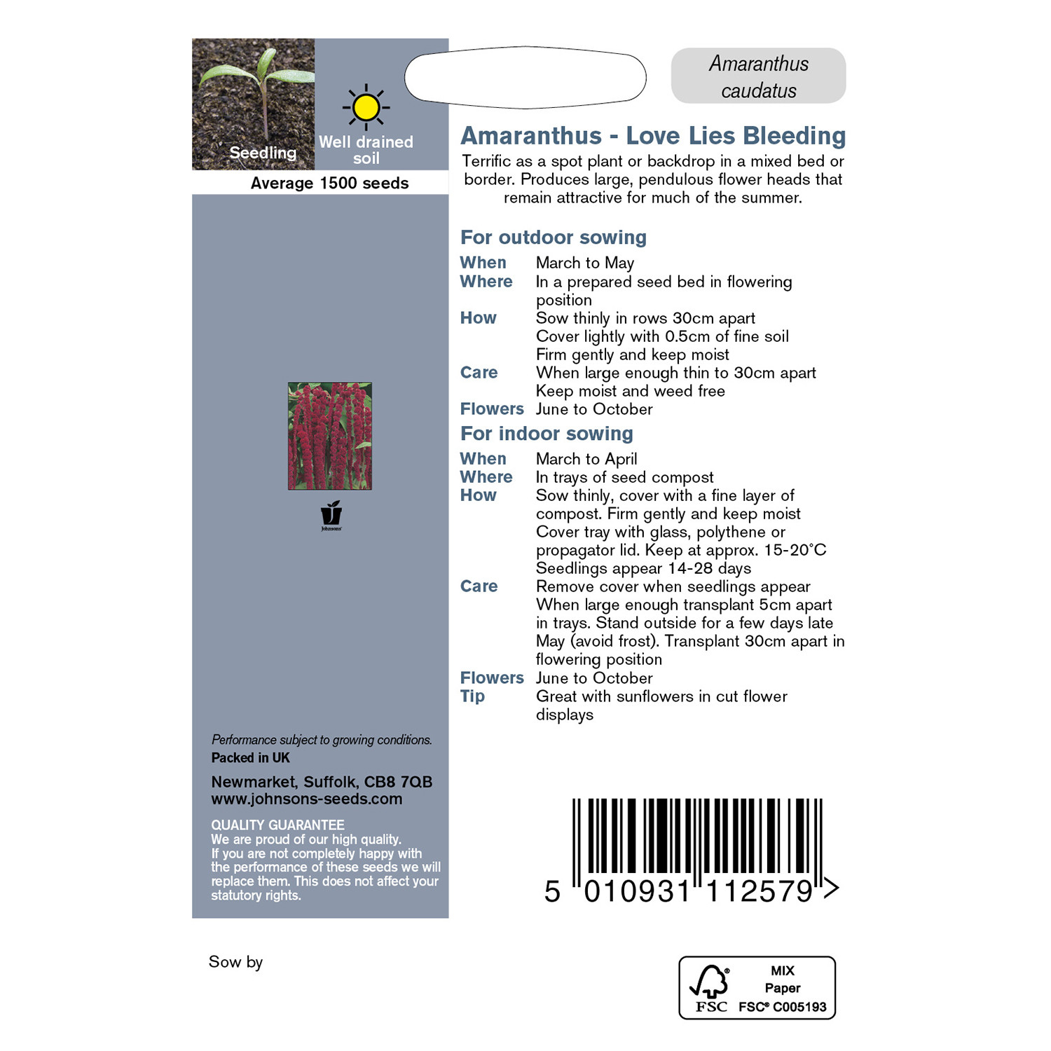 Johnsons Amaranthus Love Lies Bleeding Flower Seeds Image 3