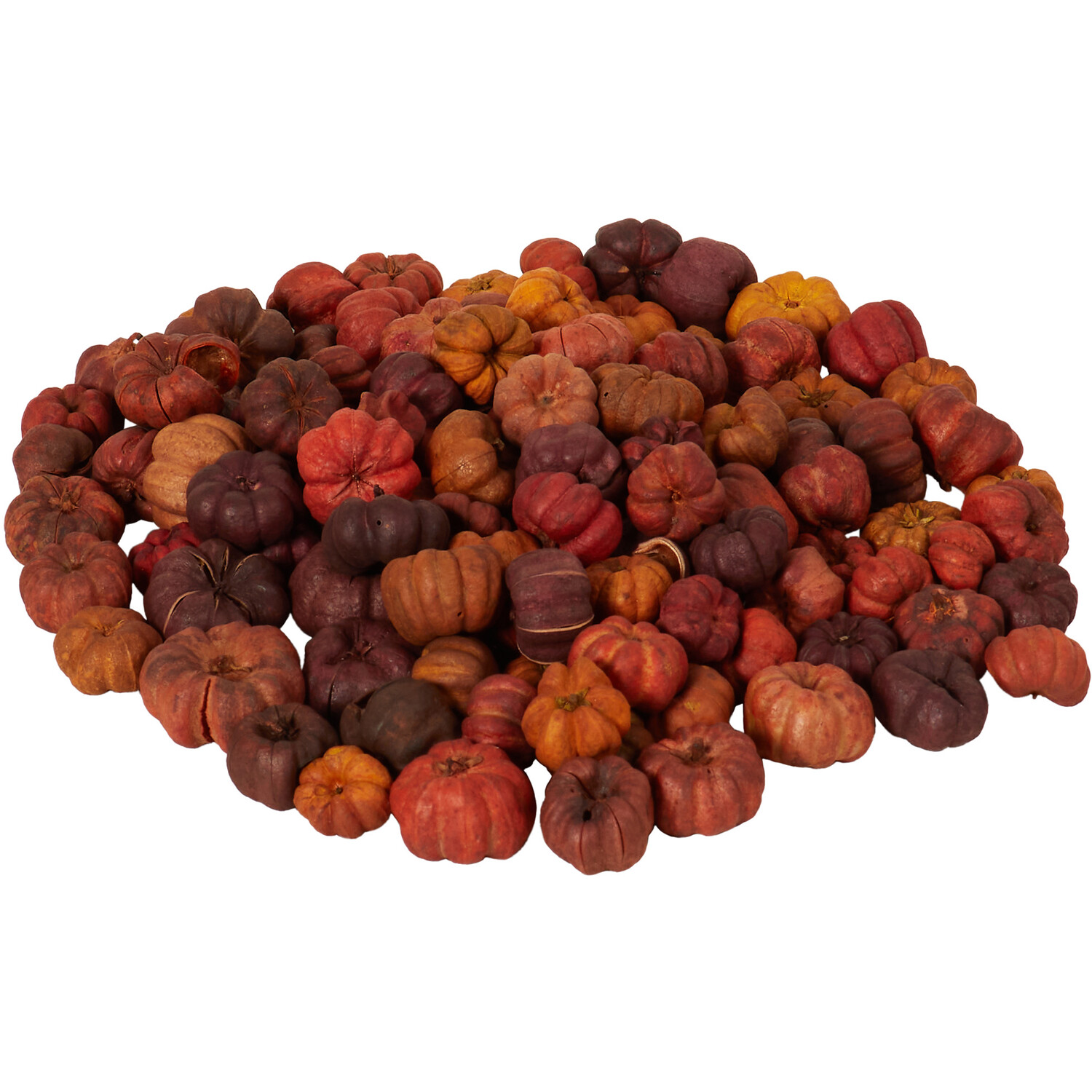 Pumpkin Potpourri - Orange Image 2