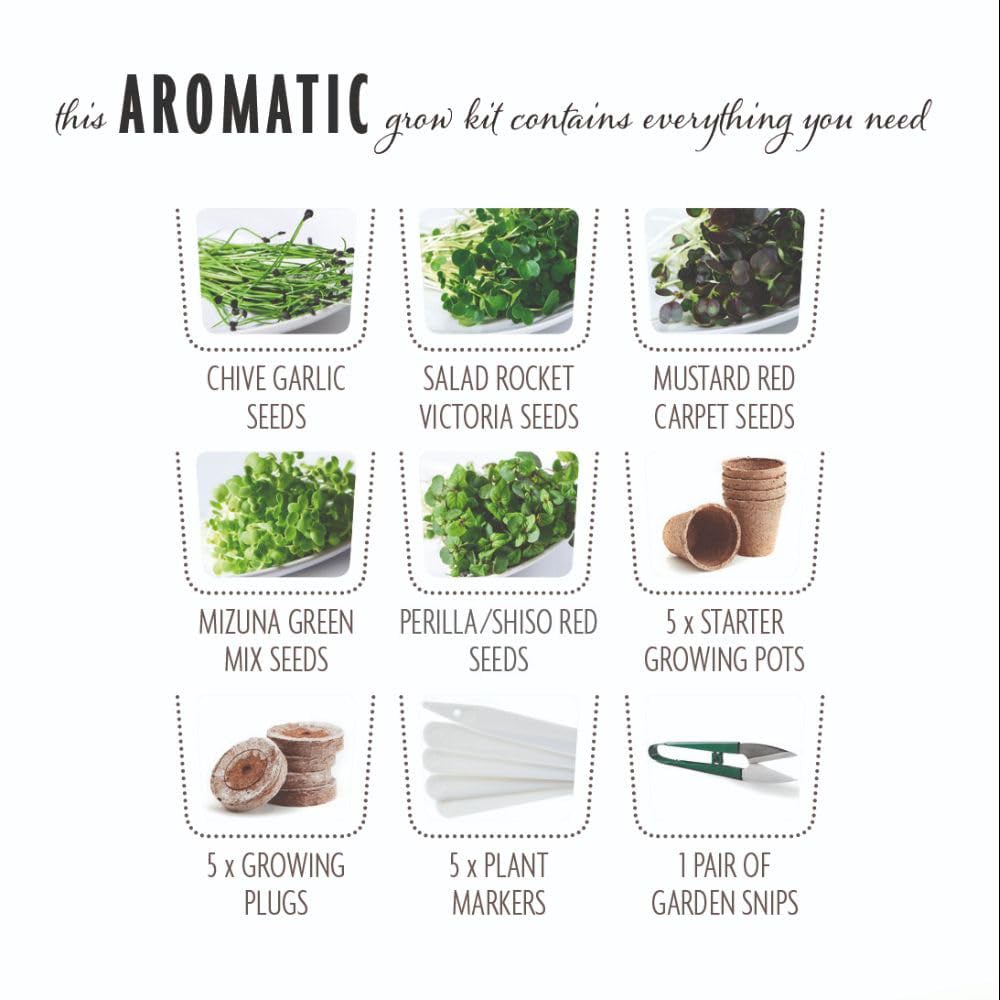 Thompson and Morgan Gift Microgreens Aromatic Seed Grow Kit Image 2