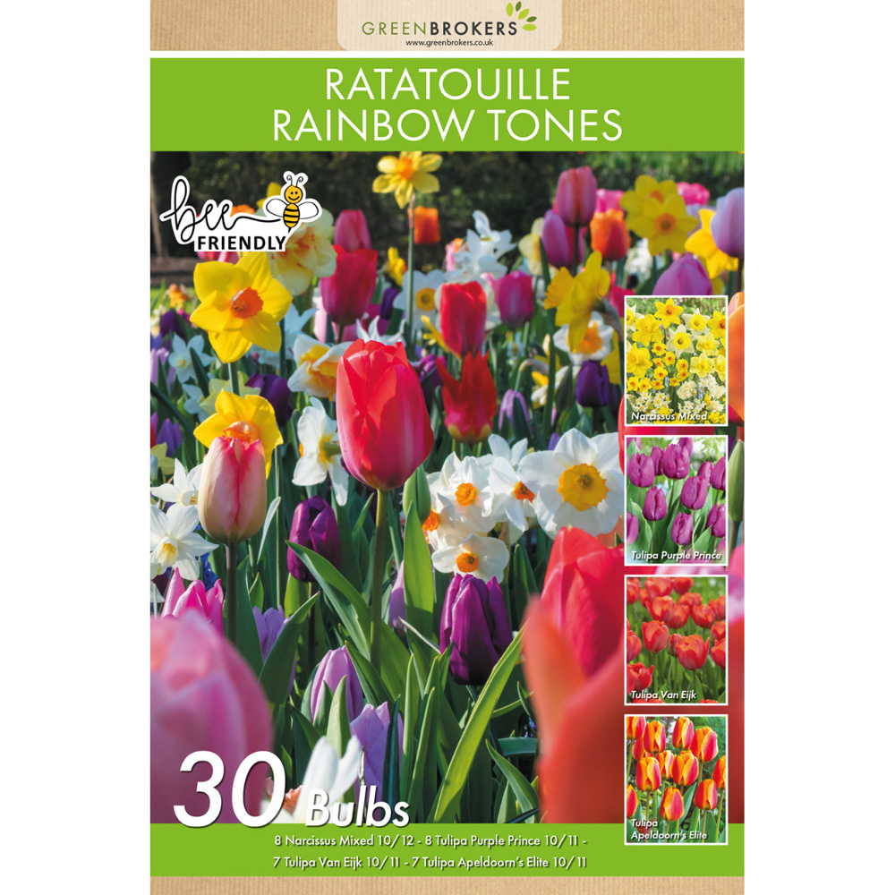 GreenBrokers Dutch Ratatouille Rainbow Bee Friendly Mixed Planting Bulb 30 Pack Image 2