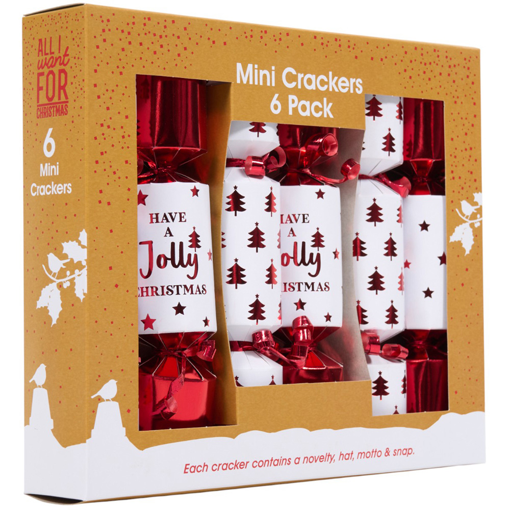 Pack of 6 Mini Luxury Crackers Image 2