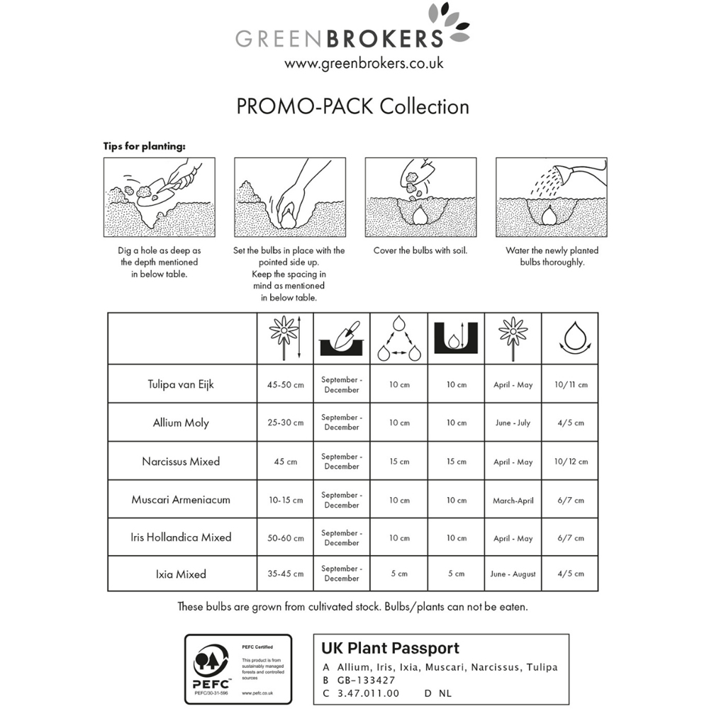 GreenBrokers Dutch Big Buy Bee Friendly Mixed Spring Bulb 101 Pack Image 3