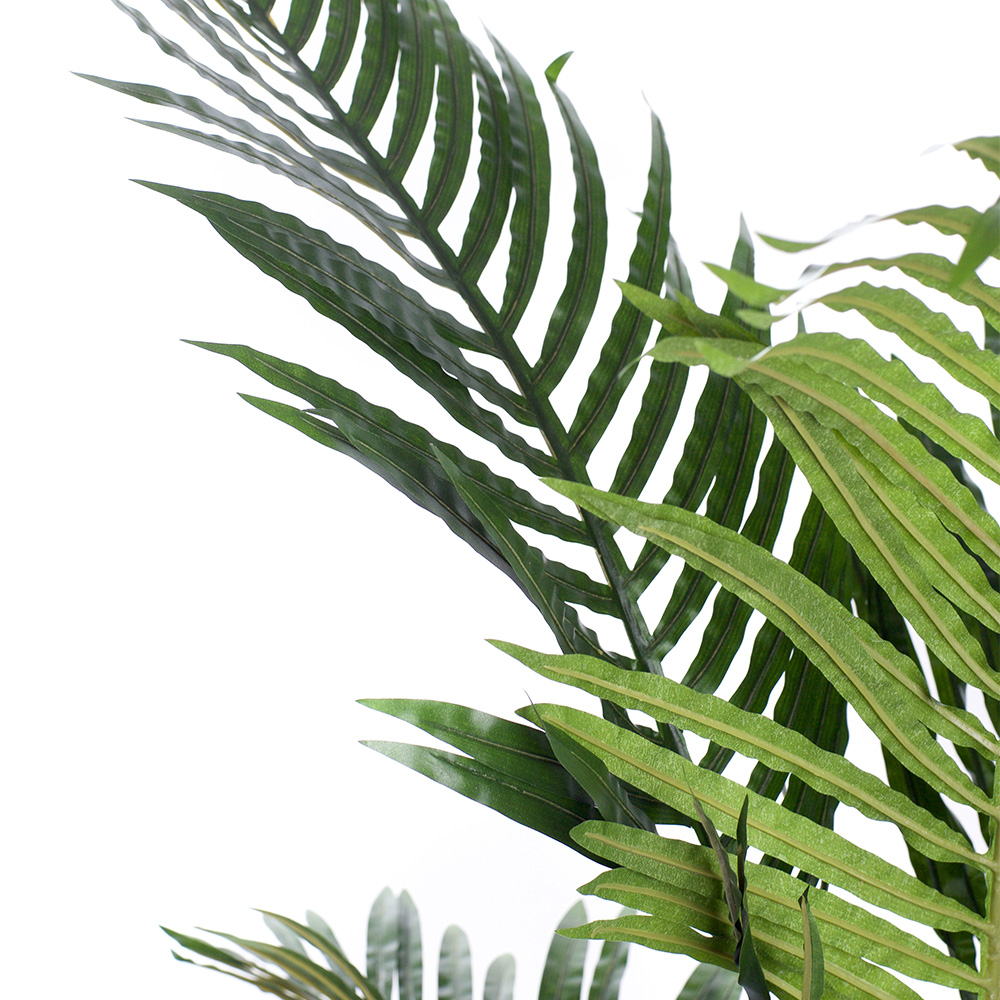 5ft Areca Palm Tree Image 2