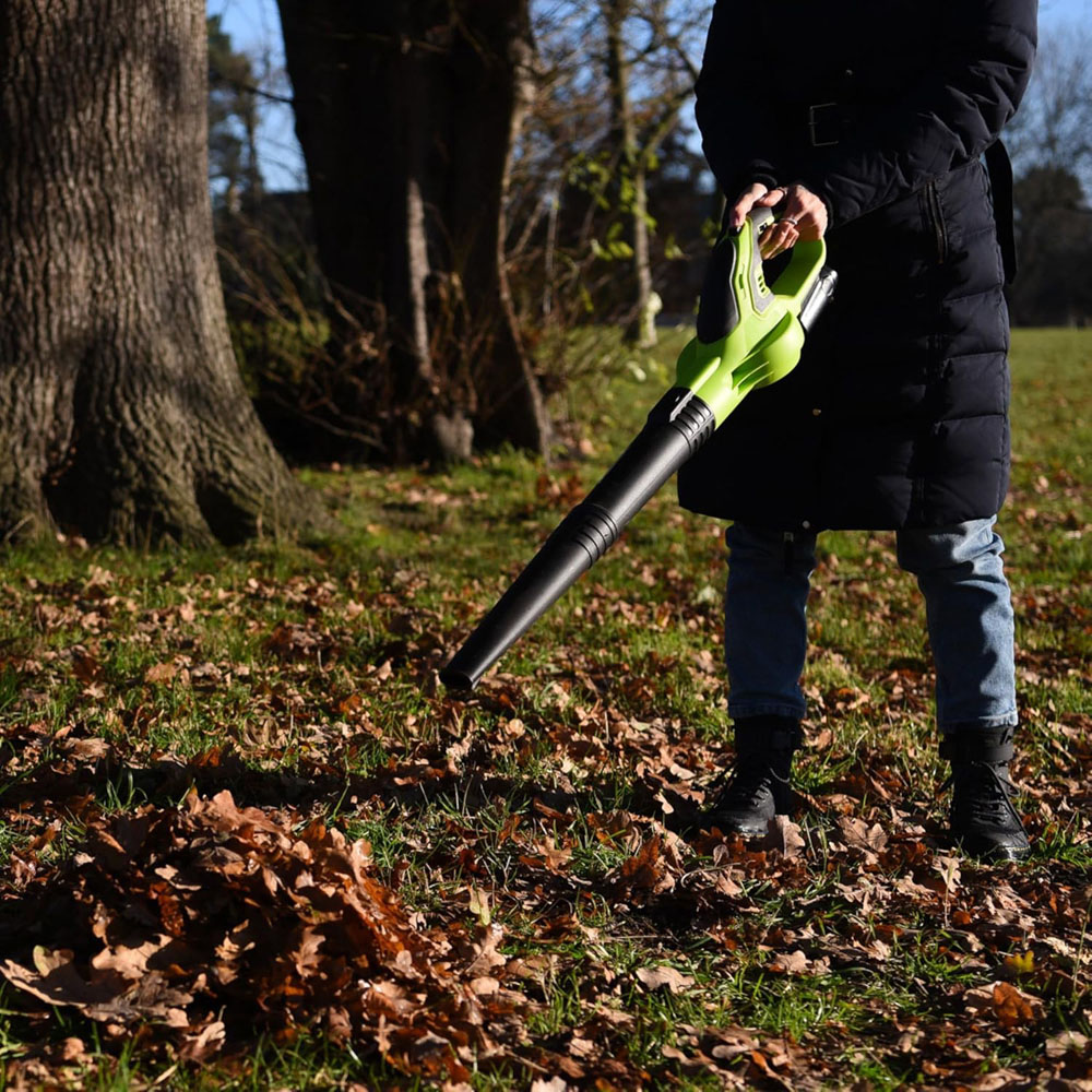 Garden Gear Cordless Leaf Blower 12V Image 2