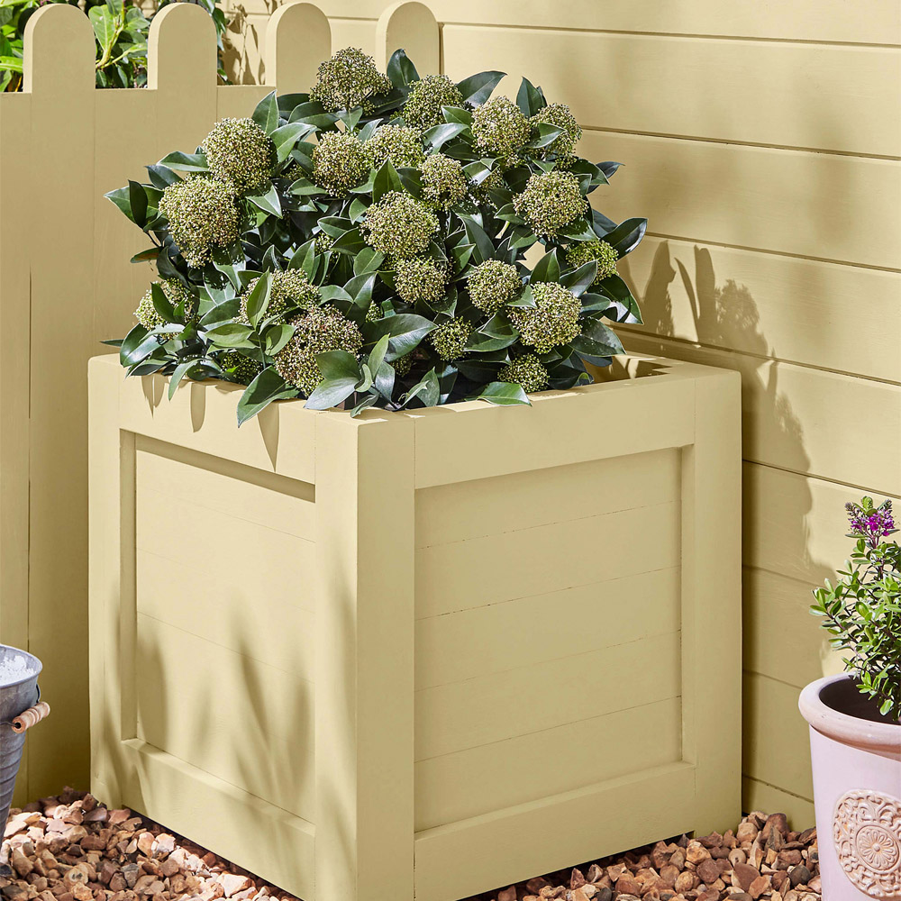 Laura Ashley Garden Collection Sunshine Paint 2.5L Image 5