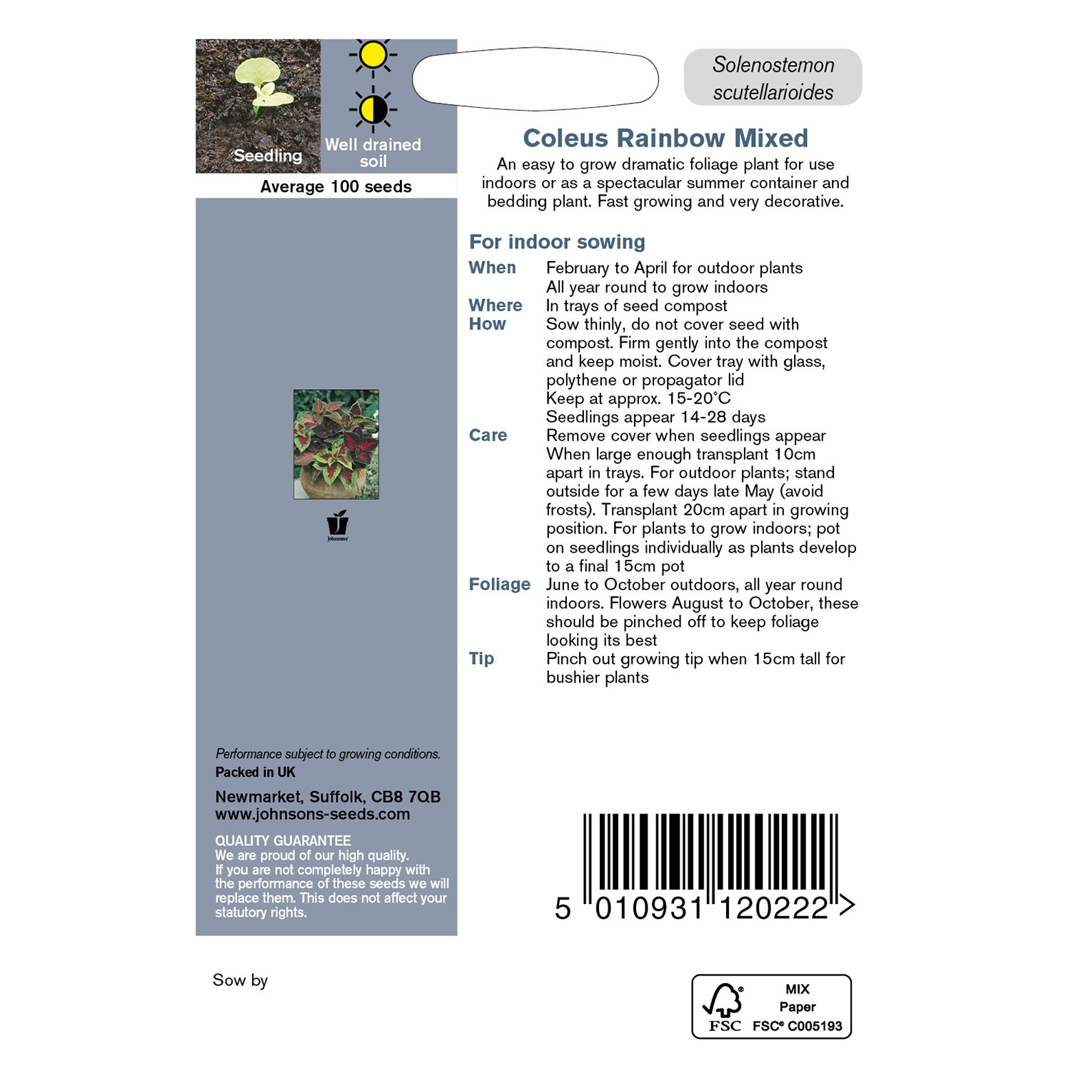 Johnsons Rainbow Mixed Coleus Seeds Image 3