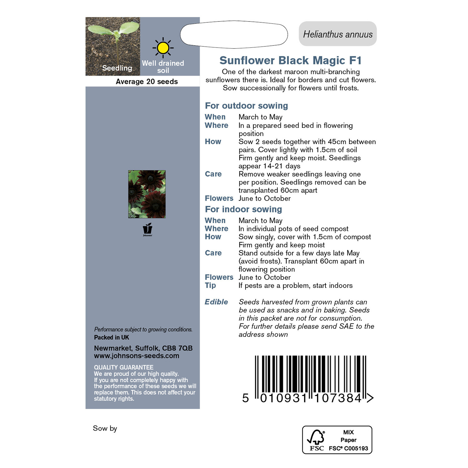 Johnsons Pack of Black Magic F1 Sunflower Seeds Image 2