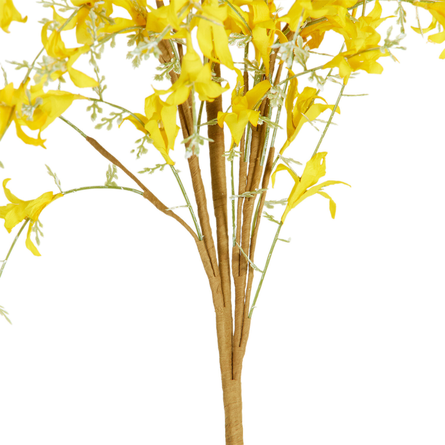 Yellow Forsythia Spray - Yellow Image 6