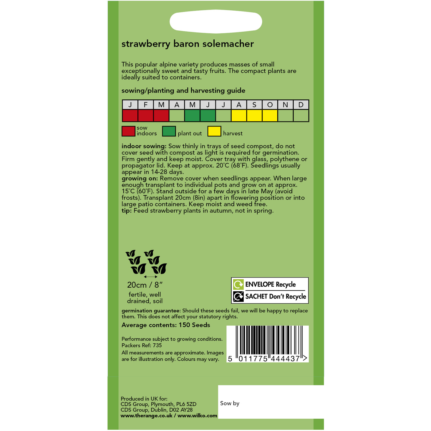 Wilko Strawberry Baron Solemacher Seeds and White Image 2