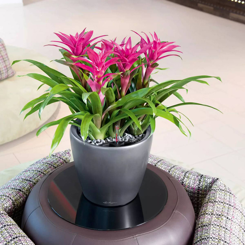 Lechuza Classico Silver Polyresin Self Watering Planter 28cm 2 Pack Image 4