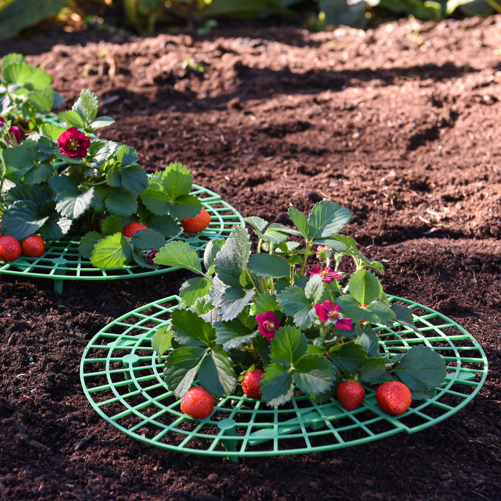 Garden Gear Strawberry Support Frame 5 Pack Image 2