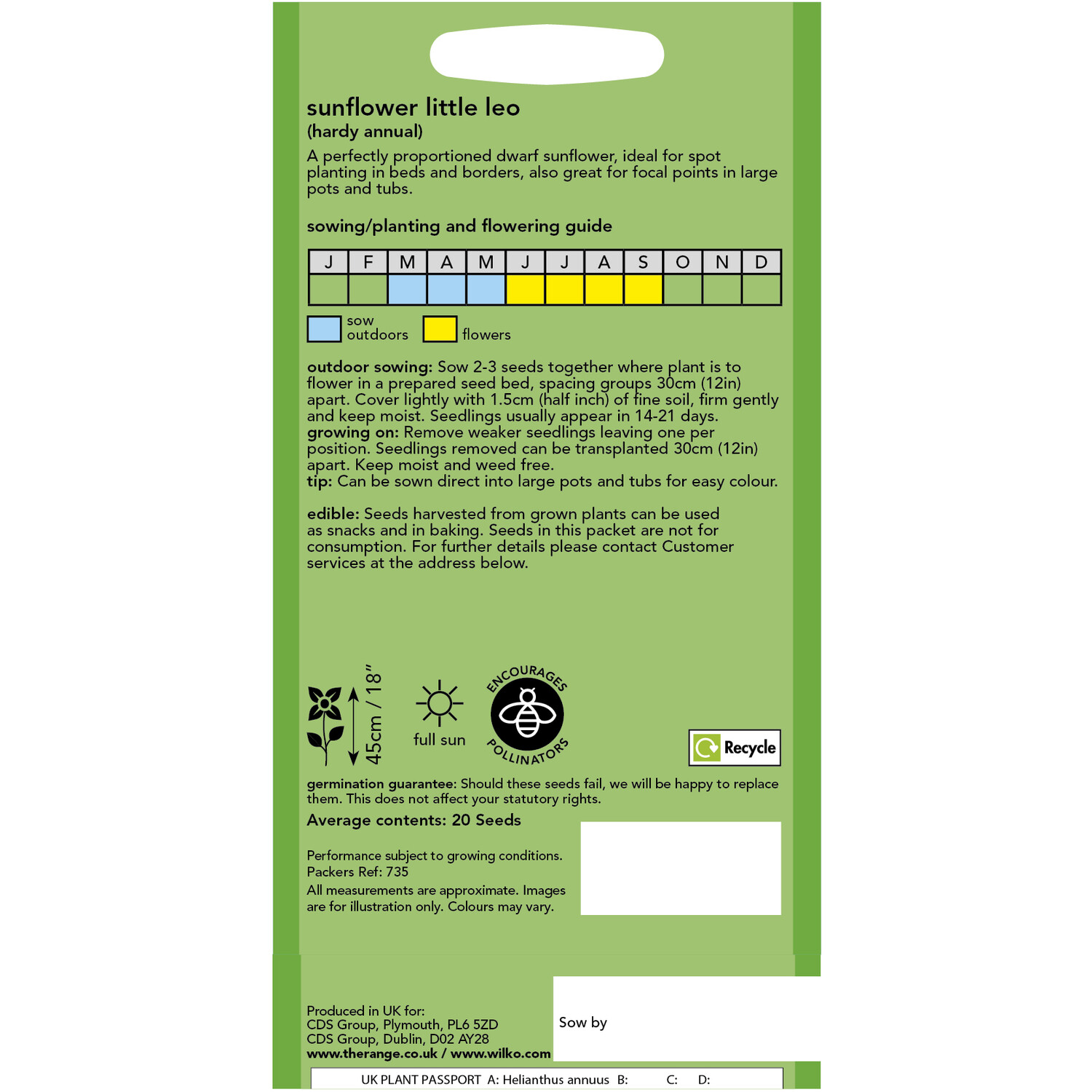 Wilko Sunflower Little Leo Flower Seeds Image 2