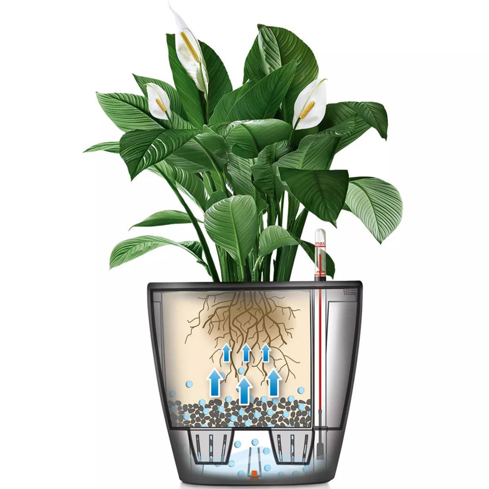 Lechuza Classico White Polyresin Self Watering Planter Pot 28cm 2 Pack Image 4
