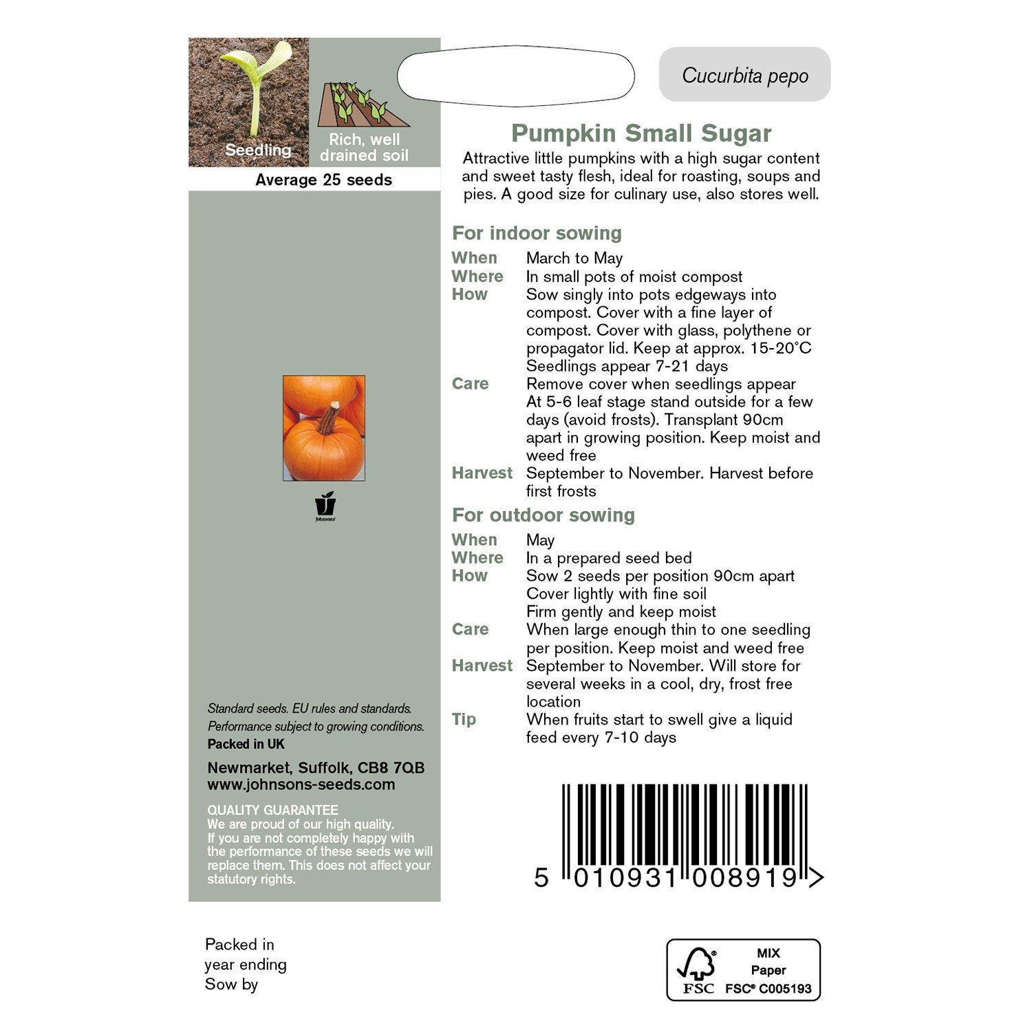 Johnsons Small Sugar Pumpkin Seeds Image 3