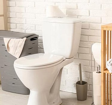 Wall or Wall-Hung Toilet