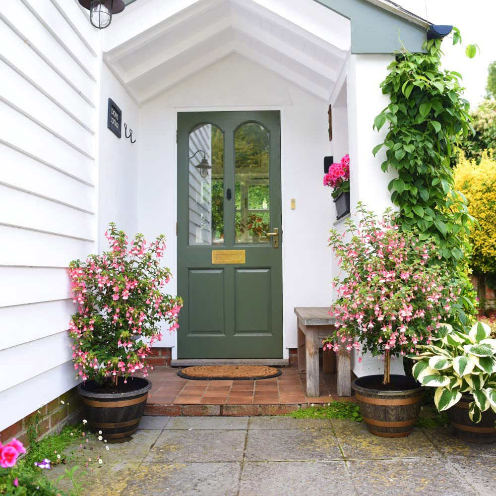 Thompson and Morgan Fuchsia Quarter Standard Elma Plant Pot 19cm 2 Pack Image 2