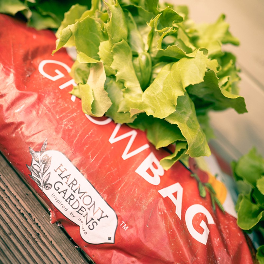 Harmony Gardens Growbag 30L Image 3