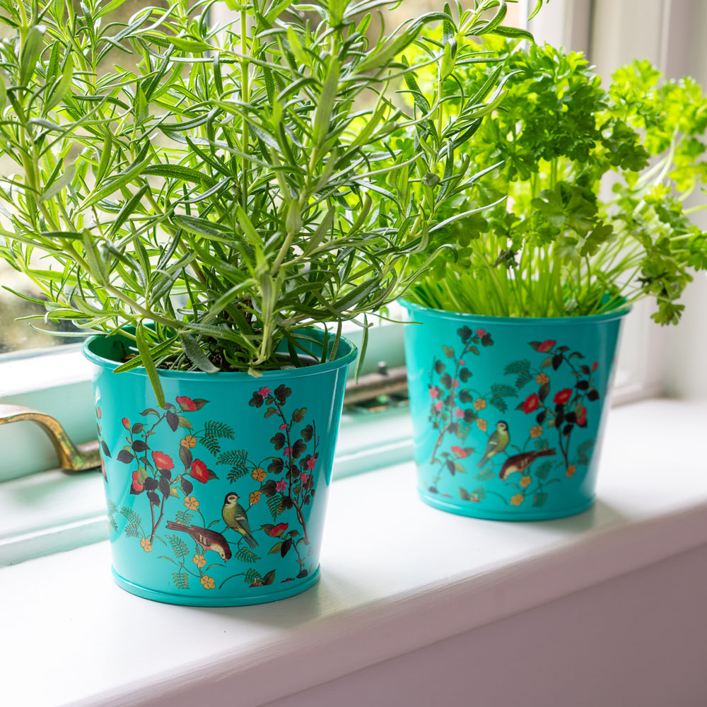 Burgon and Ball New RHS Flora and Fauna Herb Pot 2 Pack Image 2