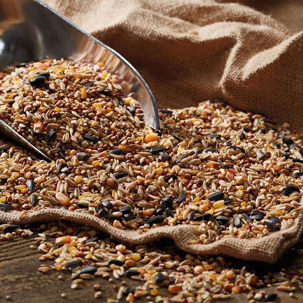 Happy Beaks No Wheat Wild Seed Mix Bird Food12.75kg Image 4