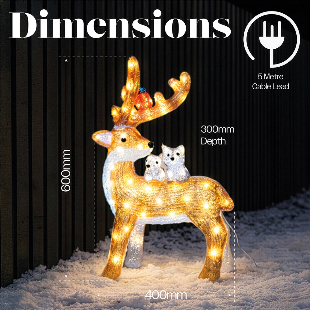 Xmas Haus 80 Bright White LED Acrylic Deer with Bird and Squirrel Christmas Decoration 60cm Image 8