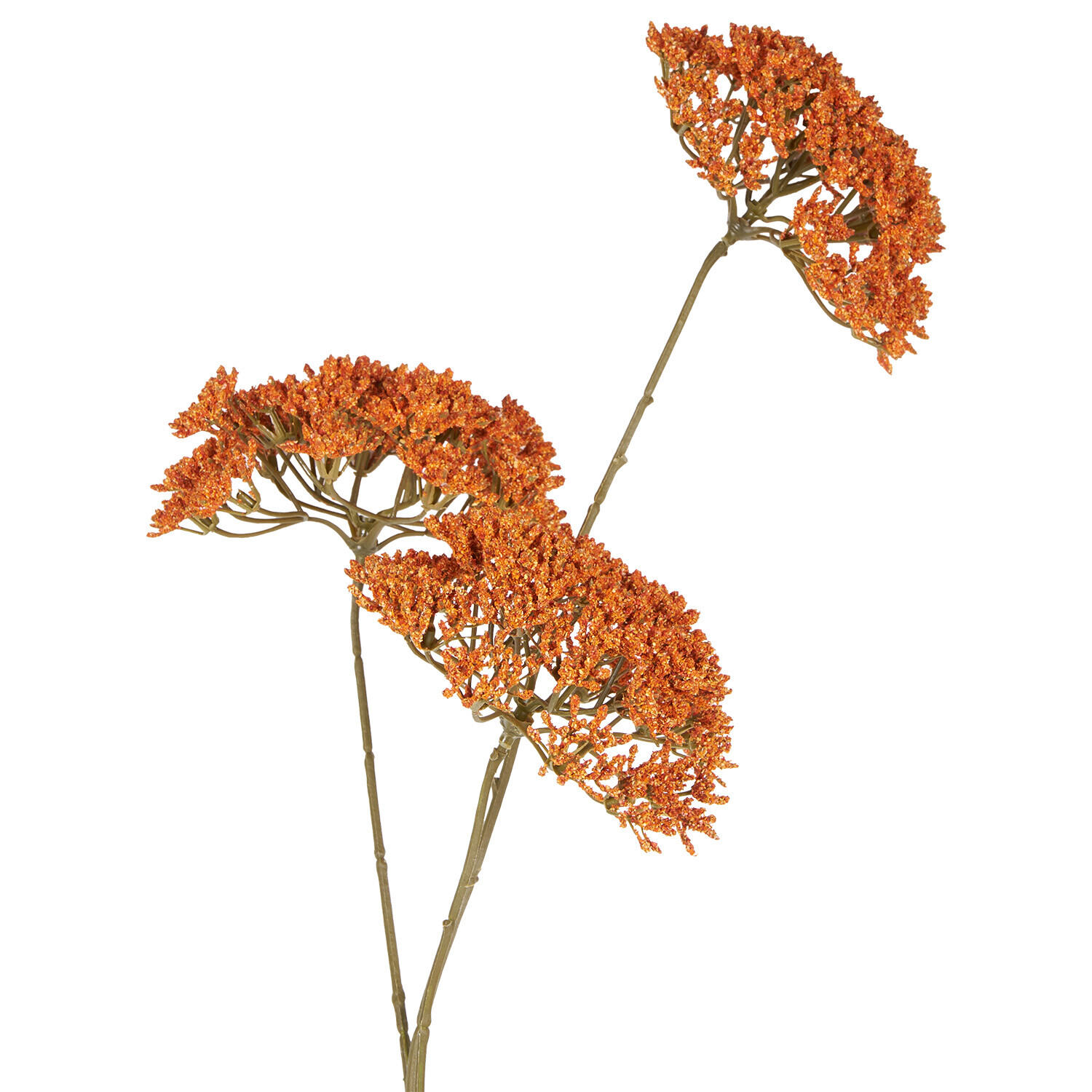 Queen Annes Lace Stem Yellow or Orange Image 7