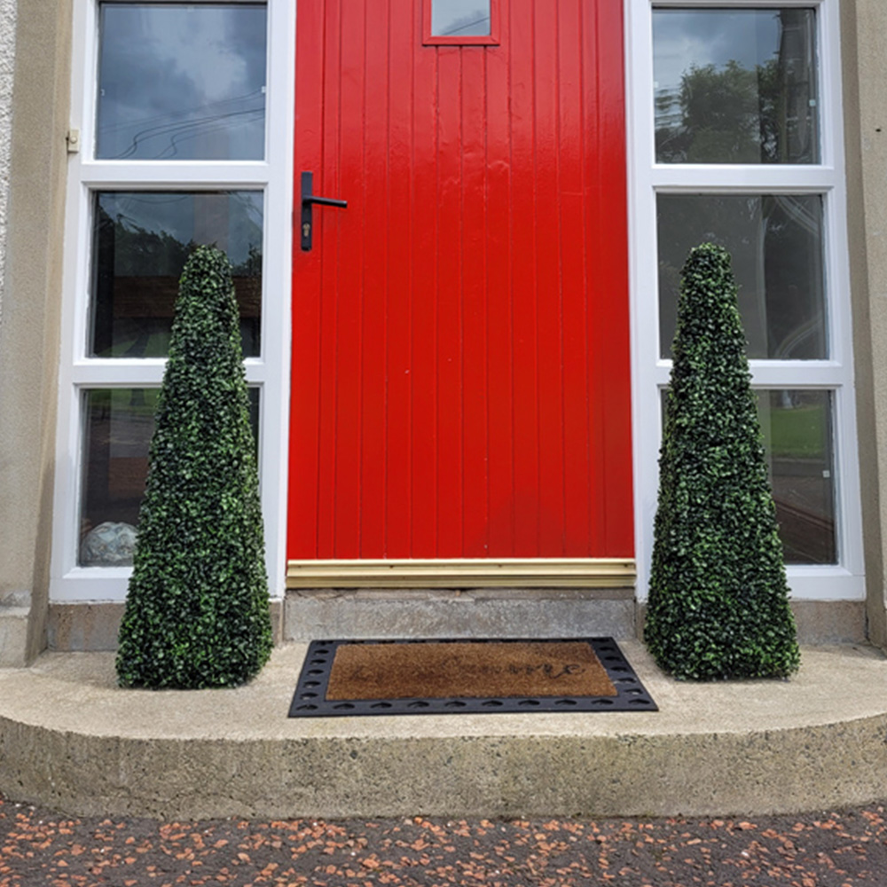 2ft Boxwood Pyramid Tree Image 4