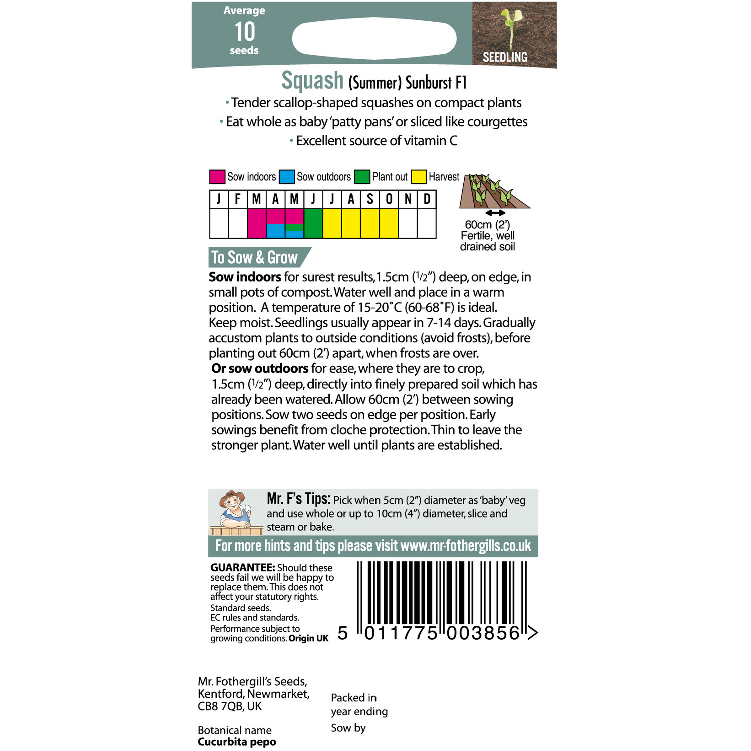 (Summer) Sunburst F1 Squash Seeds Image 2